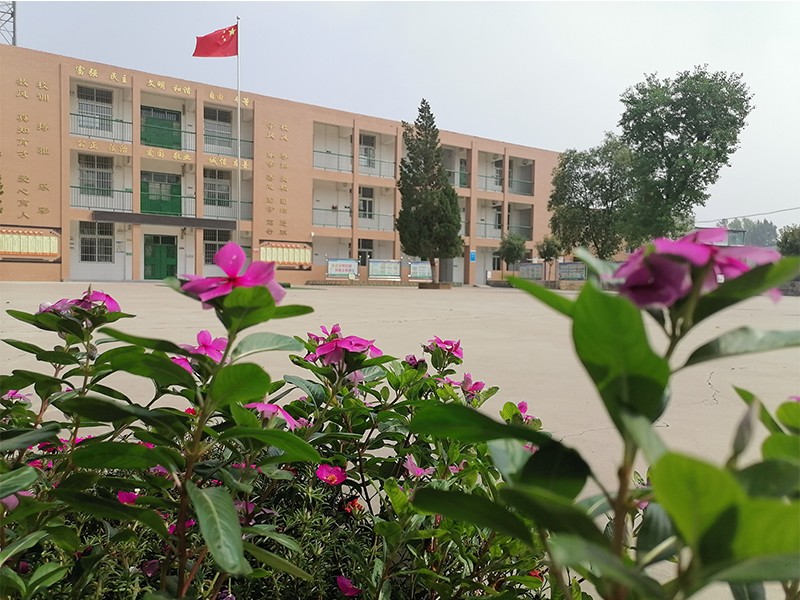 道清路小学西校区之花朵映衬下的教学楼